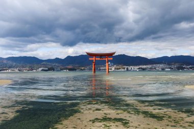 Miyajima, Hiroşima, Japonya - 9 Aralık 2024: Bulutlu bir günde kayalar ve deniz yosunlarını gösteren sığ suyla gündüz vakti Itsukushima Tapınağı 'nın Torii Kapısı' nda yüzen kırmızı shinto