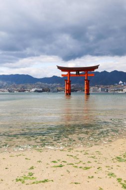 Miyajima, Hiroşima, Japonya - 9 Aralık 2024: Bulutlu bir günde kayalar ve deniz yosunlarını gösteren sığ suyla gündüz vakti Itsukushima Tapınağı 'nın Torii Kapısı' nda yüzen kırmızı shinto