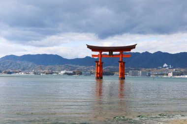 Miyajima, Hiroşima, Japonya - 9 Aralık 2024: Bulutlu bir günde kayalar ve deniz yosunlarını gösteren sığ suyla gündüz vakti Itsukushima Tapınağı 'nın Torii Kapısı' nda yüzen kırmızı shinto