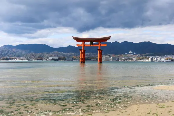 Miyajima, Hiroşima, Japonya - 9 Aralık 2024: Bulutlu bir günde kayalar ve deniz yosunlarını gösteren sığ suyla gündüz vakti Itsukushima Tapınağı 'nın Torii Kapısı' nda yüzen kırmızı shinto