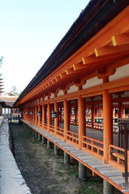 Itsukushima Tapınağı, Hatsukaichi, Hiroşima, Japonya - 9 Aralık 2024: UNESCO dünya mirası tapınağı kırmızıya boyanmış. Ahşap sütunlar parlak turuncu bir renge boyanmış. Binada yükseltilmiş bir yürüyüş yolu ve 