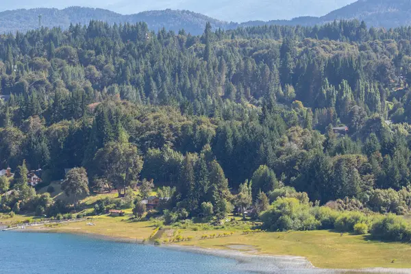 Yatay bir orman ve göl manzarası