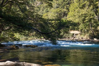 Orman vadisinin ortasında kayaların arasından akan bir nehrin rahatlatıcı manzarası.