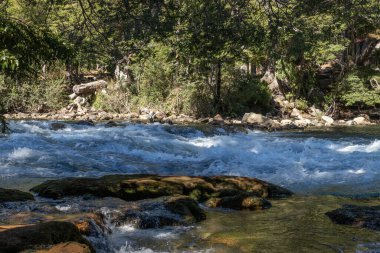Orman vadisinin ortasında kayaların arasından akan bir nehrin rahatlatıcı manzarası.