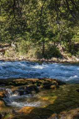 Orman vadisinin ortasında kayaların arasından akan bir nehrin rahatlatıcı manzarası.