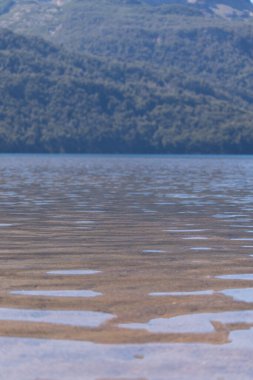 Dikey manzara, dipte dalgalı kahverengi göl suyu ve Arjantin, Lago Falkner 'da koyu yeşil ormanlarla dolu uzak dağlar.