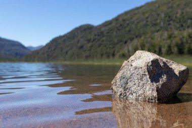 Arjantin, Lago Falkner 'da ormanları ve berrak bir gökyüzü olan saydam göl suyundaki izole gri iplikçikli duvar kağıdı.