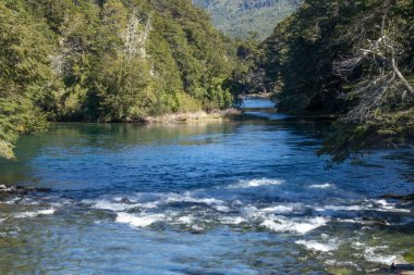 Orman vadisinin ortasında kayaların arasından akan bir nehrin rahatlatıcı manzarası.
