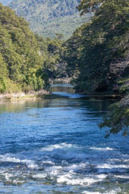 Orman vadisinin ortasında kayaların arasından akan bir nehrin rahatlatıcı manzarası.