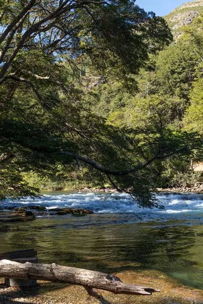 Orman vadisinin ortasında kayaların arasından akan bir nehrin rahatlatıcı manzarası.