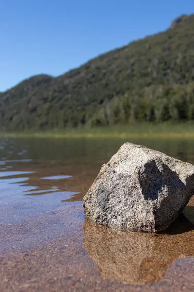 Arjantin, Lago Falkner 'da ormanları ve berrak bir gökyüzü olan saydam göl suyundaki izole gri iplikçikli duvar kağıdı.