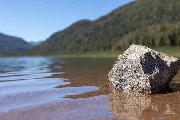 Arjantin, Lago Falkner 'da ormanları ve berrak bir gökyüzü olan saydam göl suyundaki izole gri iplikçikli duvar kağıdı.