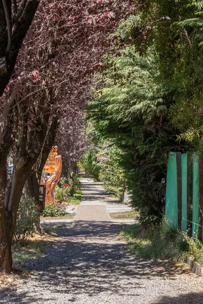 Etrafını çevreleyen pembe ve yeşil ağaçların gölgeleriyle kaplı beton kaldırımın dikey görüntüsü