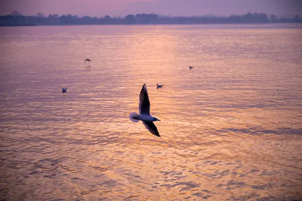 ISEO Gölü LOMBARDIA İTALYA
