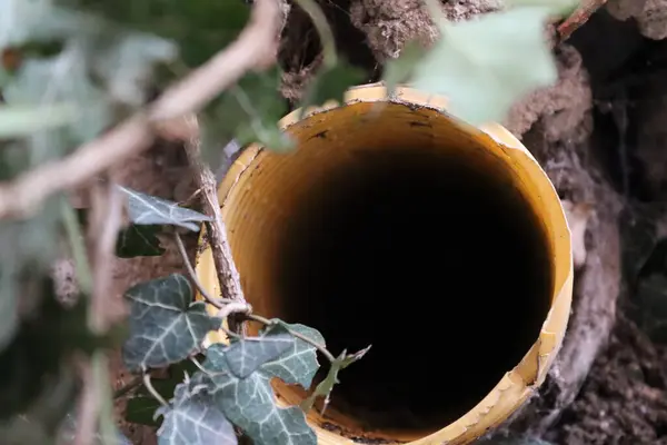 a yellow pipe in nature that leads to the unknown