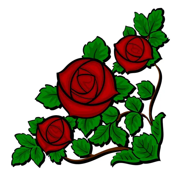 Vector Illustration Red Rose Flower Isolated White Background — Stock Vector
