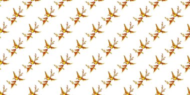 Genişletilebilir Kuş, Balık ve Evcil Hayvan Dekorasyonu