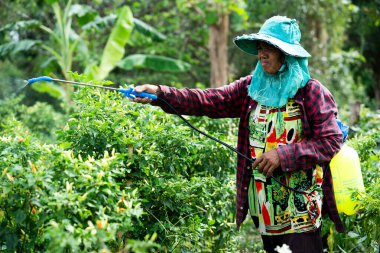 Bereketli yeşil arazi kırsal alanda tarım faaliyeti için tarım ilacı uygulaması yakın çevre görüntüsü