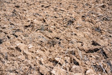 Tarım arazisi tarım arazisi doğal çevre kuru toprak seviyesi sürdürülebilir uygulamalar