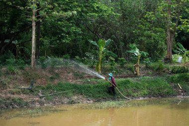 Tarımsal sulama eylemi kırsal alan doğal çevre zemin seviyesi sürdürülebilir tarım uygulamaları