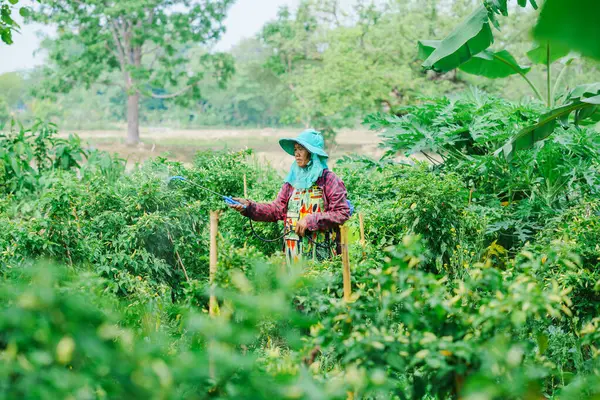 Yeşillik yeşili doğa sahnesinde çiftçinin bahçe işleri Sürdürülebilir tarım için çevre yakın plan manzarası