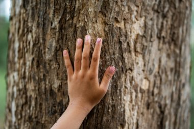 Doğaya dokunan bir çocuk eli bir ağaç gövdesi üzerinde çevre ile yakın çekim bağlantısı