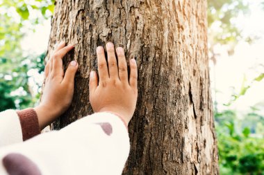 Doğanın, ağaç kabuğu ormanındaki çocuğun ellerine dokunuşunu yakından çevresel farkındalık yaratarak keşfediyor.