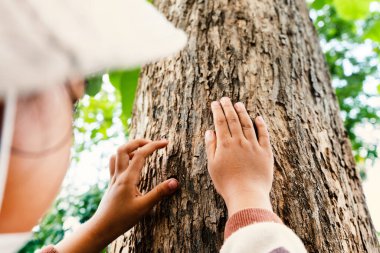 Doğanın dokularını keşfeden çocuk ağaç kabuklarına dokunarak yeşil çevreye yakından bakıyor.
