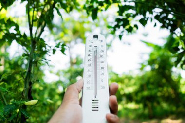 Doğanın kucaklamasındaki sıcaklığı ölçen açık hava fotoğrafçılık bereketli çevre yakın çekim sezonsal farkındalık