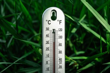 Doğa sıcaklığını ölçen açık hava termometresi görüntüsü yeşilliği yemyeşil yakın çekim iklim farkındalığı