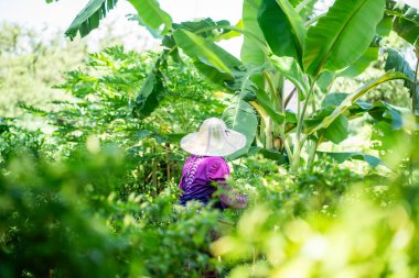 Yeşillik bir alanda çalışan bir işçinin bahçe işleri. Çevreye yakın çekim sürdürülebilir uygulamalar.