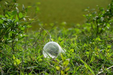 Çevresel farkındalık olayı doğa koruma banliyö parkı fotoğrafçılığı yeşillikleri yemyeşil ekosistemleri koruyor