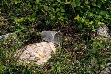 Plastik atık kirliliği krizi. Çevre sorununun ekosistemler üzerinde aşırı büyümüş çimen seviyesi etkisi.