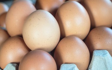 Taze tavuk yumurtasını seçici bir odak noktasıyla kapat