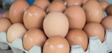 Taze tavuk yumurtasını seçici bir odak noktasıyla kapat