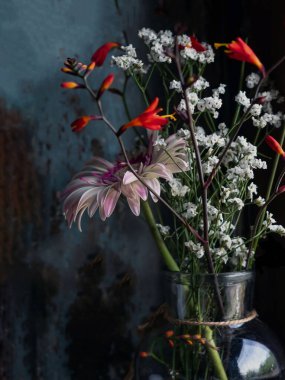 Ev dekorasyonu için koyu arkaplanda hayat çiçekleri