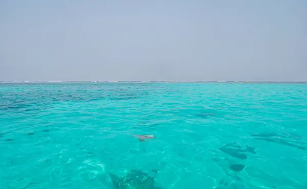 Lakshadweep 'teki mercan kayalıkları.