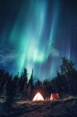 Kamp alanında kamp yapan çadırlar. Ulusal parktaki ormanın üzerinde Aurora Borealis var.
