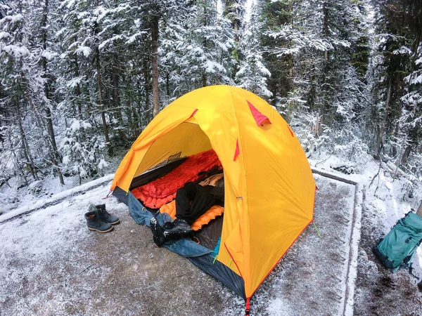 Camping for hike in the pine forest during winter on extreme cold at national park