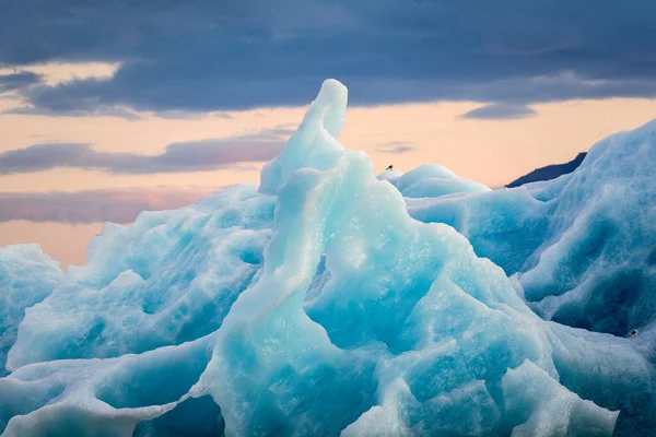 Rebanho Aves Empoleiradas Iceberg Azul Flutuando Lagoa Glacial Noite Jokulsarlon — Fotografia de Stock