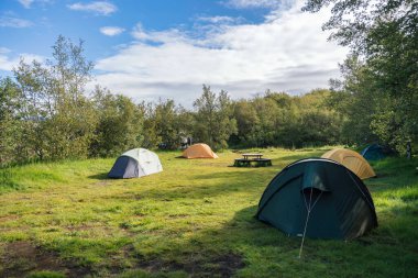 Group of hiker tents camping on lawn of campground in the forest on summer at national park. Leisure acitivity, Recreational pursuit