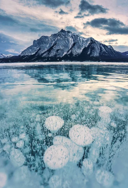 Majestic view of Abraham Lake with natural bubbles frost in the morning on winter at Banff national park, Alberta, Canada