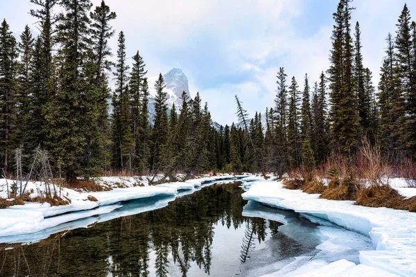 冬の国立公園の雪松の森と凍る湖の風景 — ストック写真