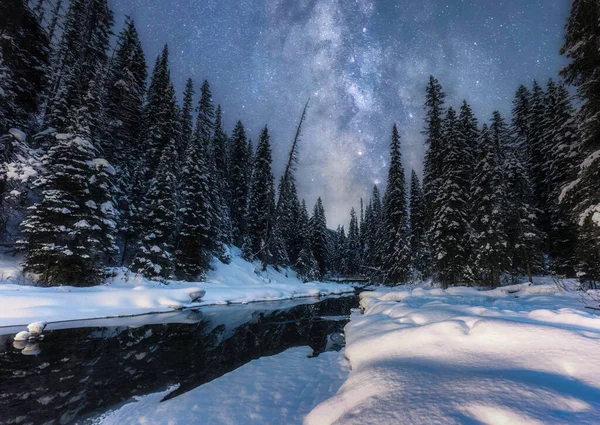 Geheimnisvolle Landschaft Der Milchstraße Nachthimmel Über Kiefernwald Mit Schnee Seeufer — Stockfoto