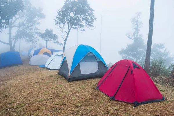 Wanderzelte Auf Dem Zeltplatz Und Nebelschwaden Auf Dem Gipfel Nationalpark — Stockfoto