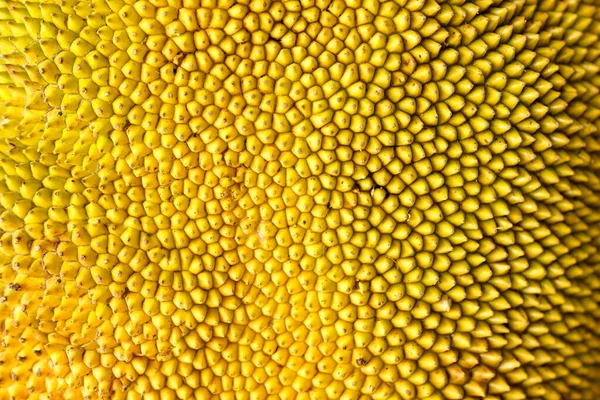 Amarelo Maduro Jaca Fruta Tropical Casca Espinho Textura Fundo — Fotografia de Stock