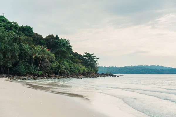 Tropické Moře Pláží Lesem Zataženém Dni — Stock fotografie