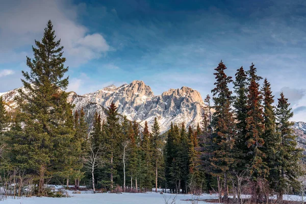 Montañas Rocosas Con Bosque Pinos Parque Invierno Día Soleado — Foto de Stock
