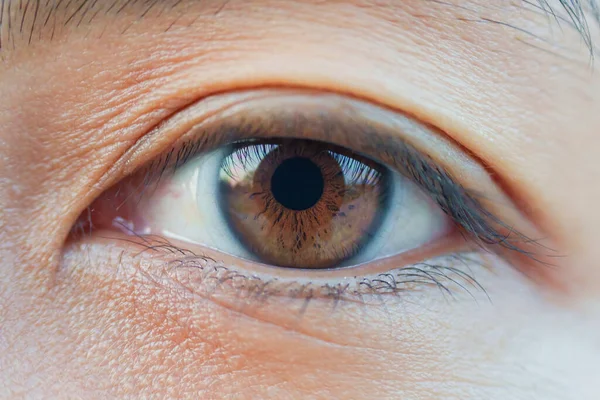 Makro Vacker Asiatisk Kvinna Brun Öga Med Klar Kontaktlins — Stockfoto