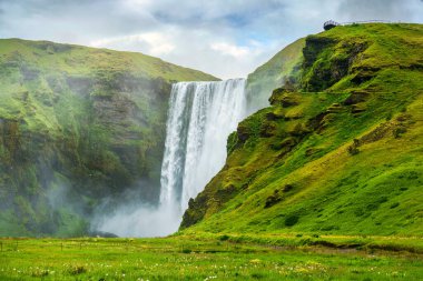 Lush Skogafoss şelalesinin güzel manzarası İzlanda 'nın güneyinde yazın akıyor.